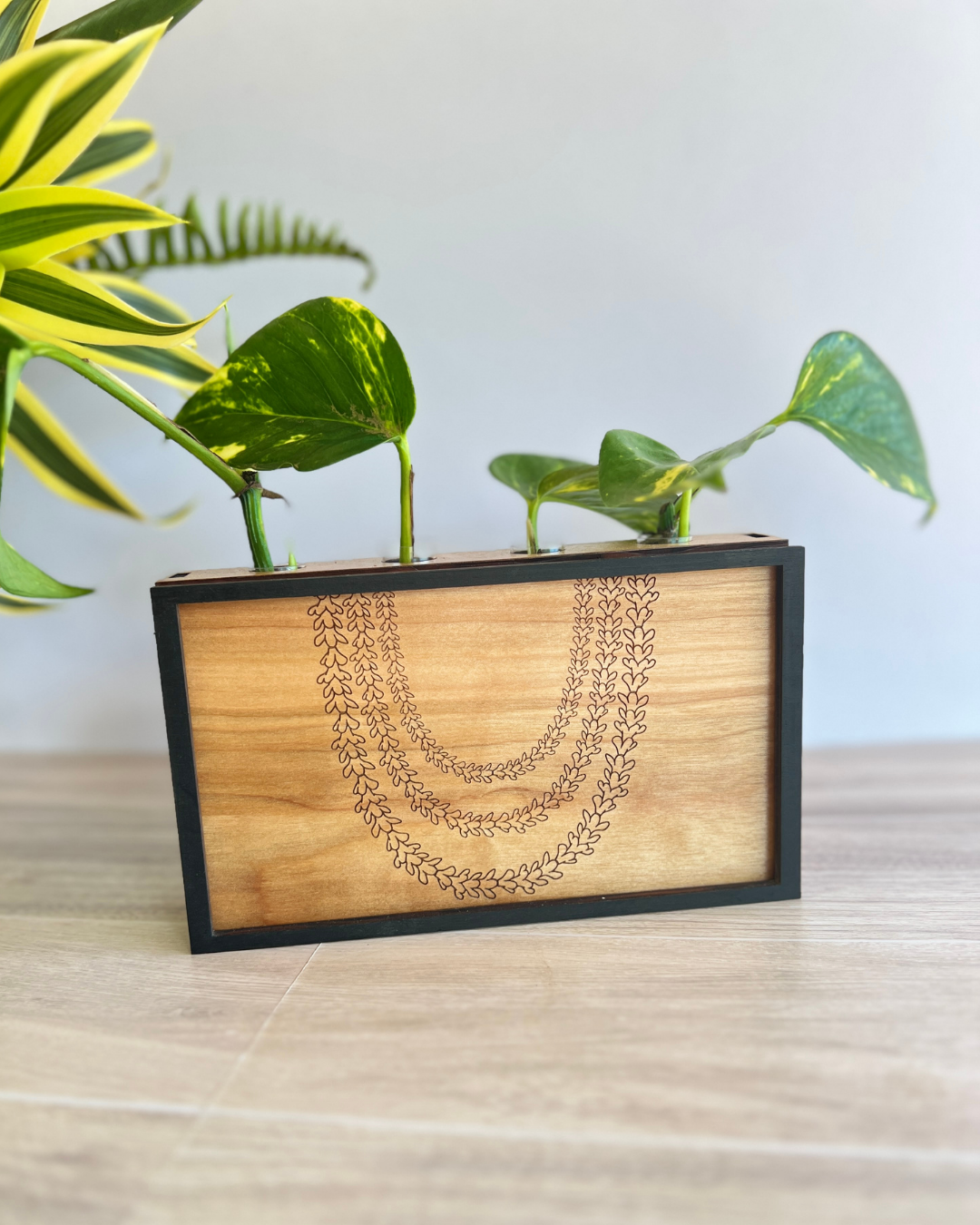 Propagation Station - Pakalana Lei