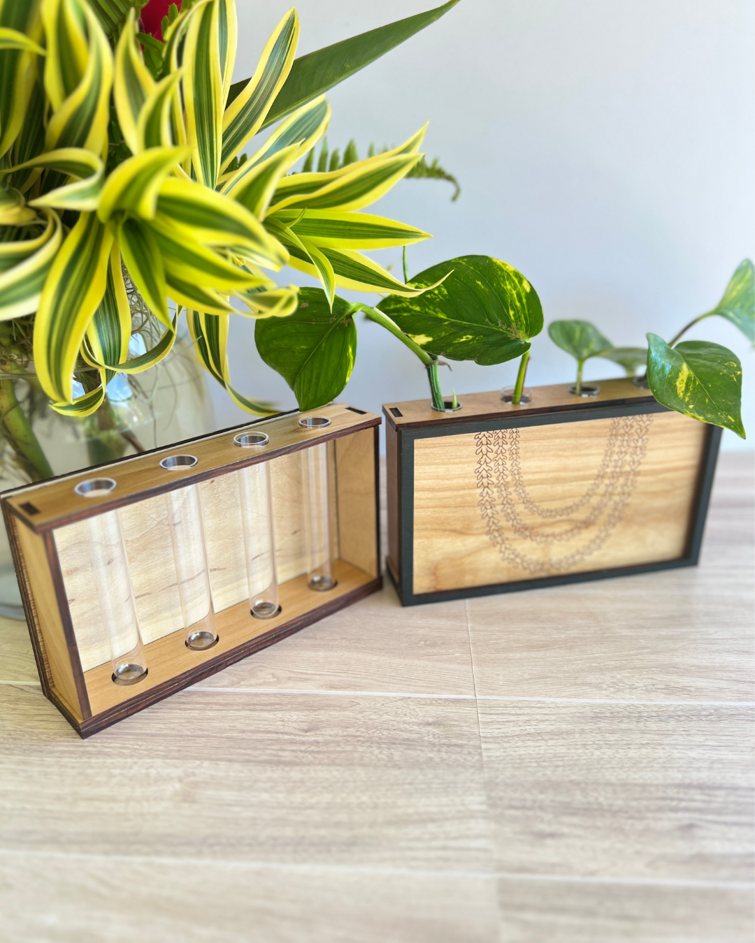 Propagation Station - Pakalana Lei