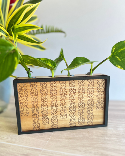 Propagation Station - Puakenikeni Strands