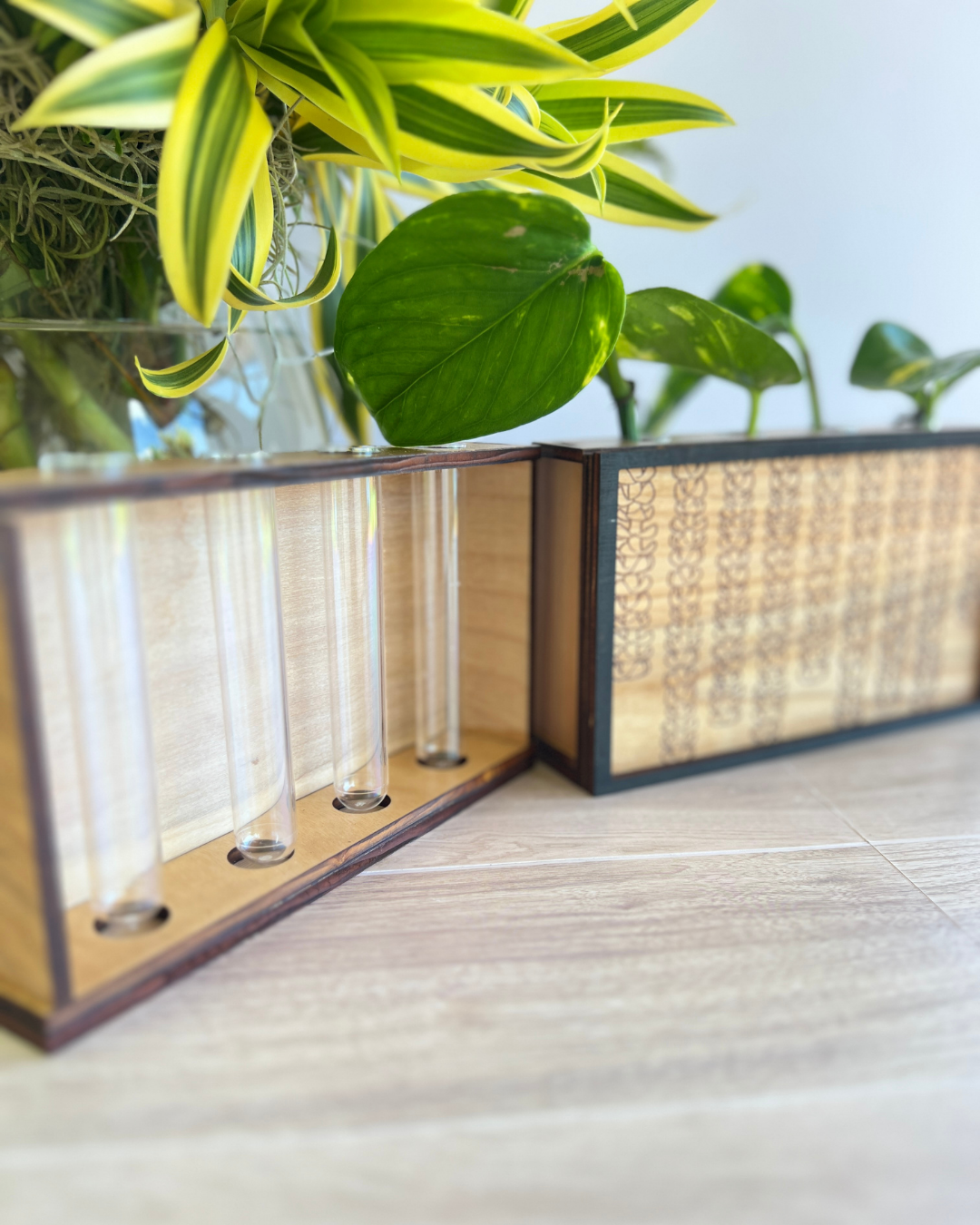 Propagation Station - Puakenikeni Strands