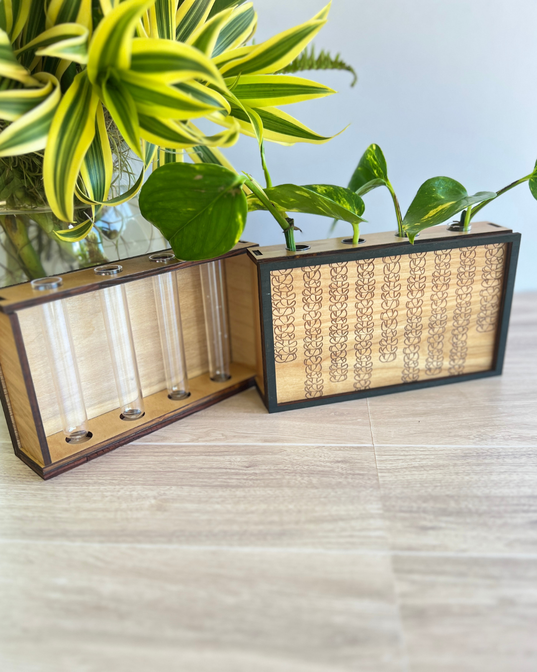 Propagation Station - Puakenikeni Strands