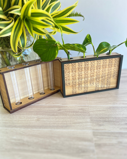 Propagation Station - Puakenikeni Strands