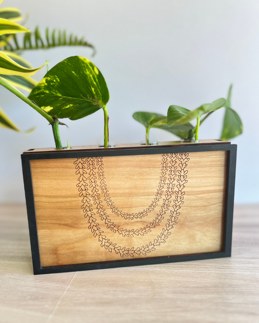 Propagation Station - Pakalana Lei