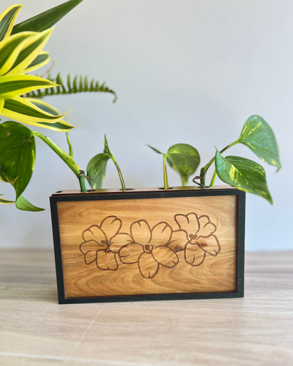 Propagation Station - Puakenikeni Trio