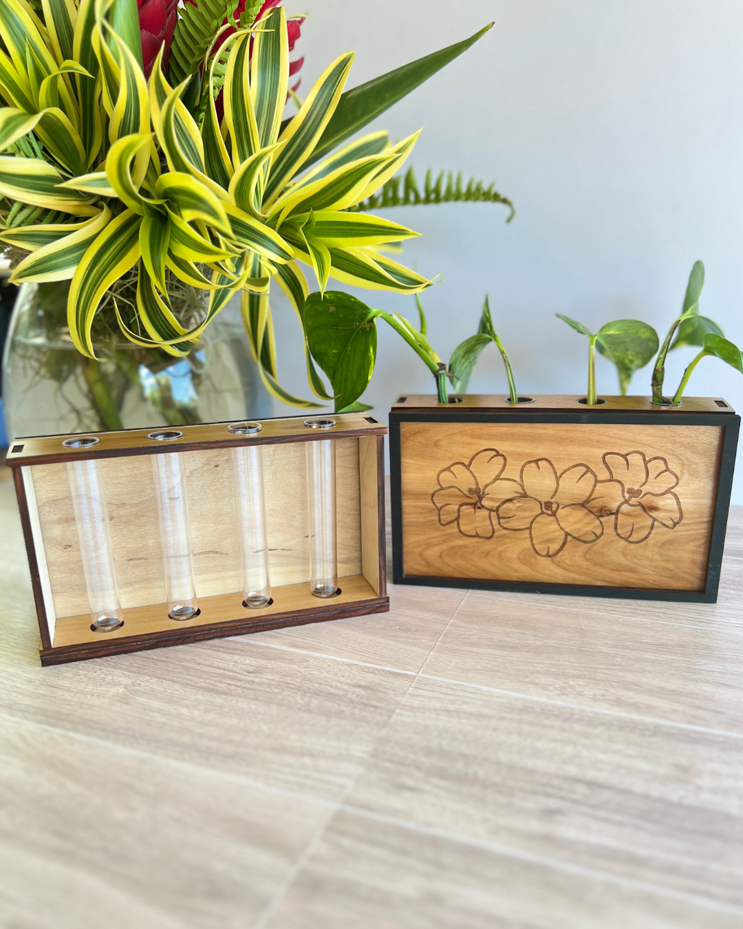 Propagation Station - Puakenikeni Trio