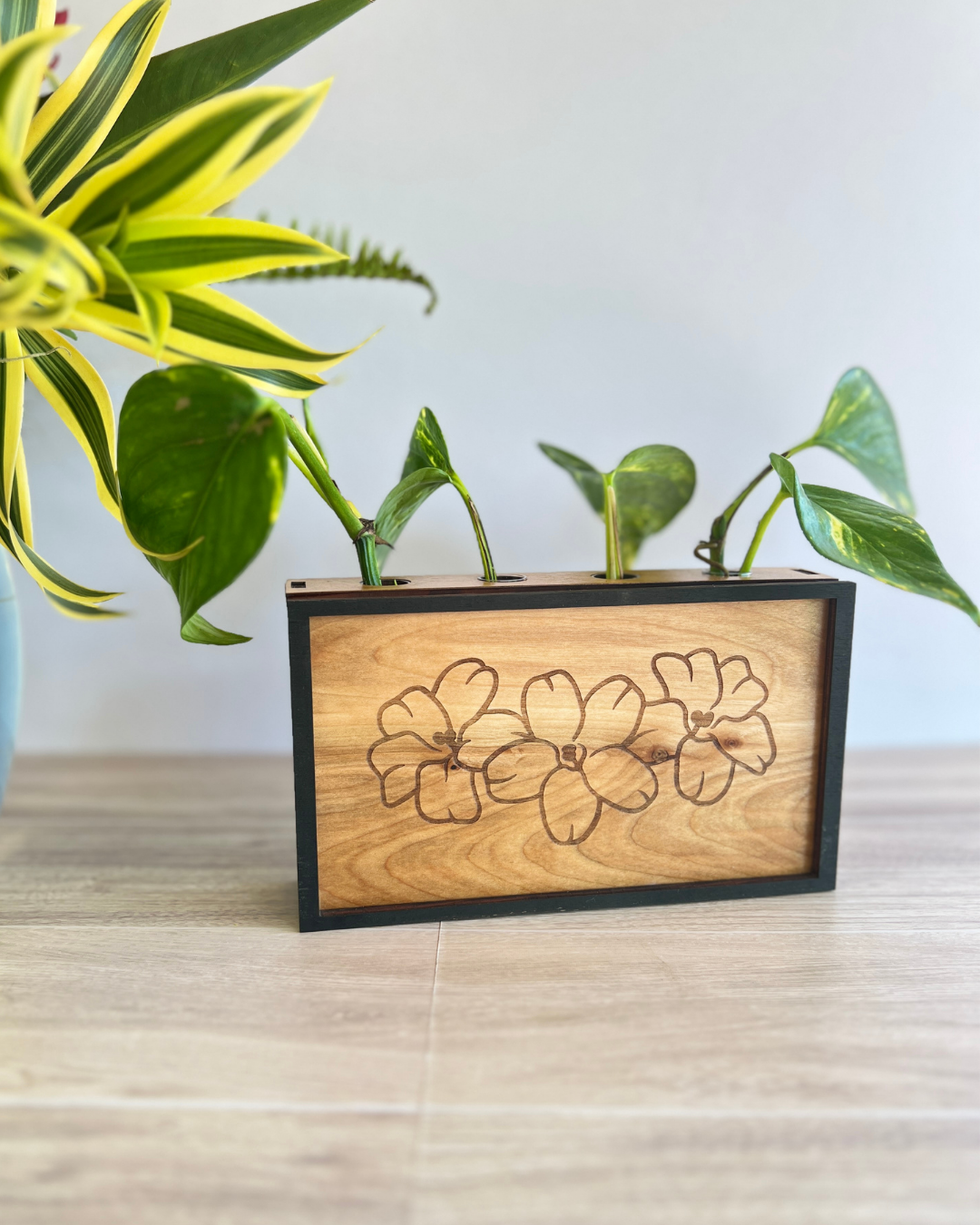 Propagation Station - Puakenikeni Trio