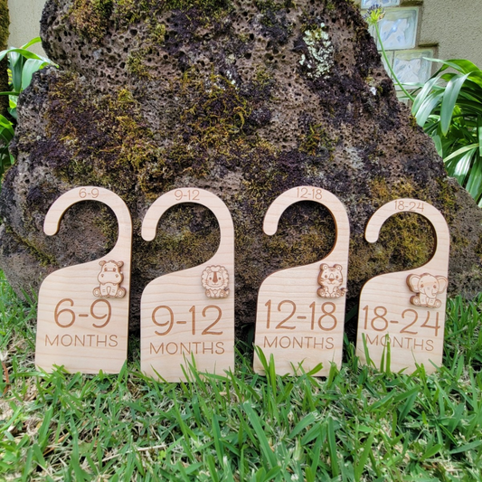 Nursery Clothes Organizer w/3D Character