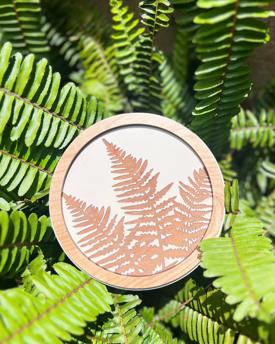 Palapalai Round Wall/Shelf Art