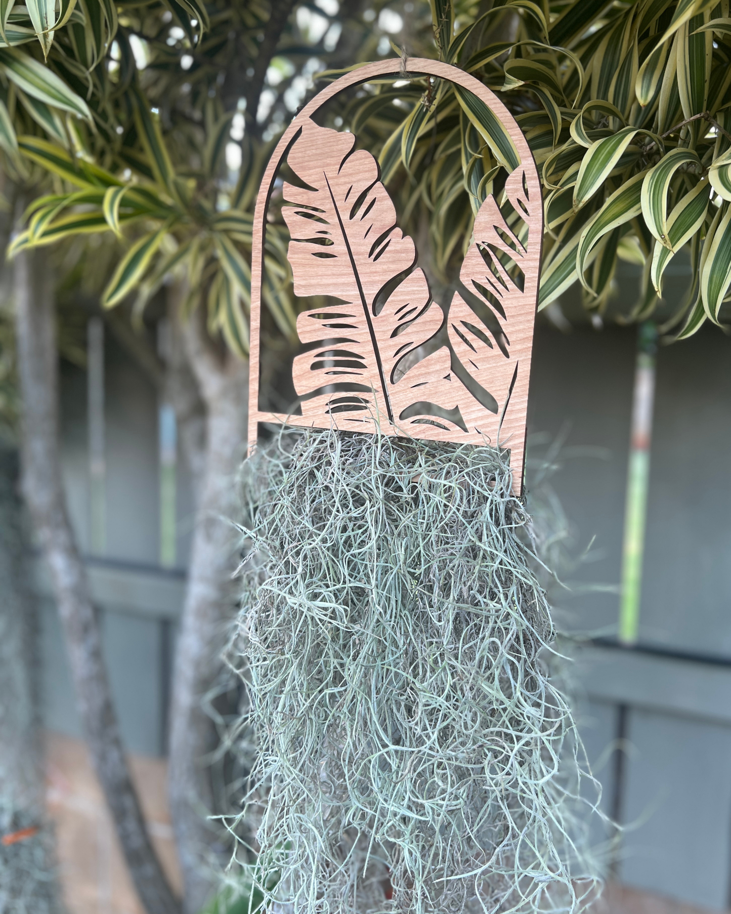 Hinahina  Hanger Large