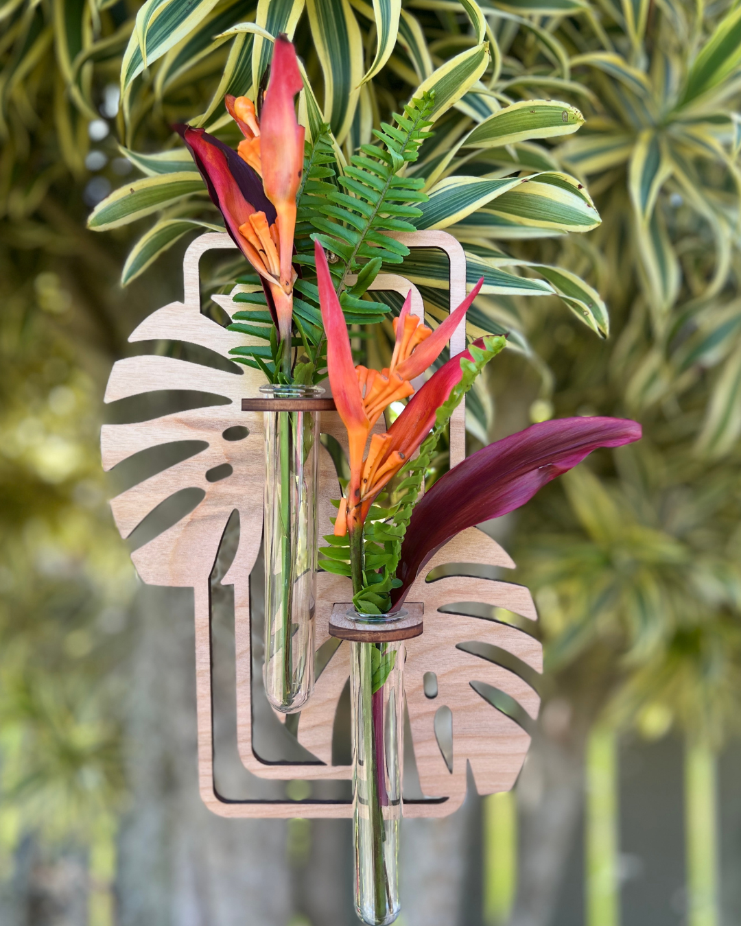 Double Monstera Hanging Propagation Station