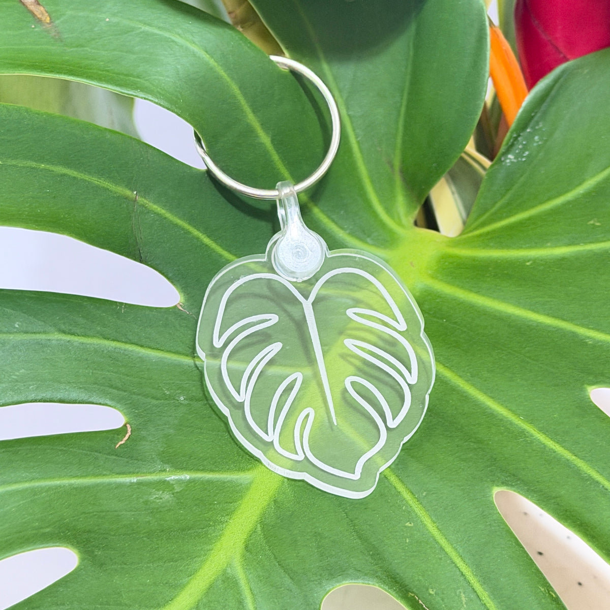 Clear Acrylic Keychain Monstera Design Plant Lover Accessory Botanical Leaf Pattern Split Leaf Detail Green Layer Background Metal Ring Attachment Nature Inspired Gift Perfect Everyday Carry Item Tropical Theme Collection Durable Quality