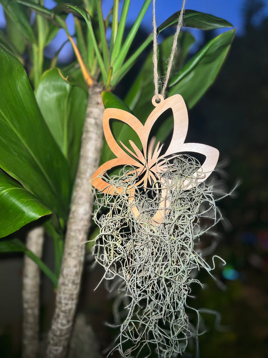 Hinahina Hanger Medium